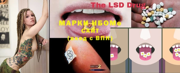 шишки Алзамай