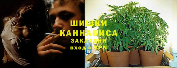 шишки Алзамай