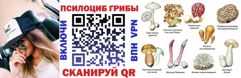 Псилоцибиновые грибы Psilocybine cubensis Юрьевец